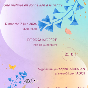 Stage de Qi Gong - 7 juin 2026