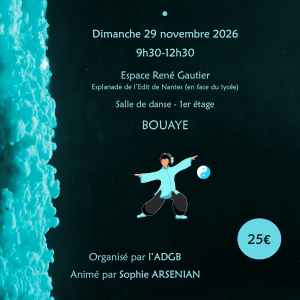 Stage Qi Gong 29 novembre 2026